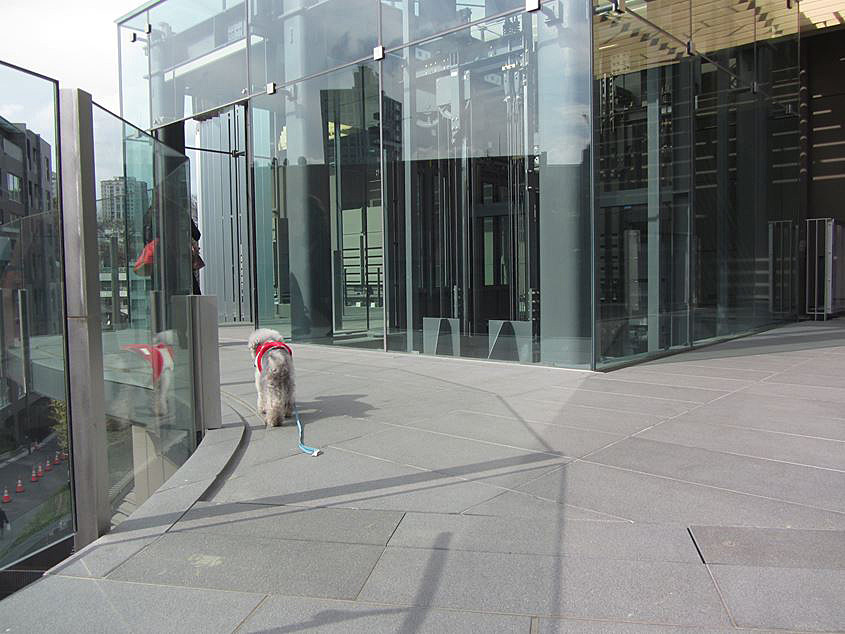 e0129656_23492149.jpg