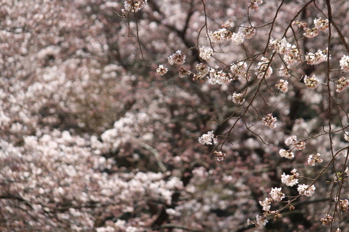 b0246758_21133397.jpg