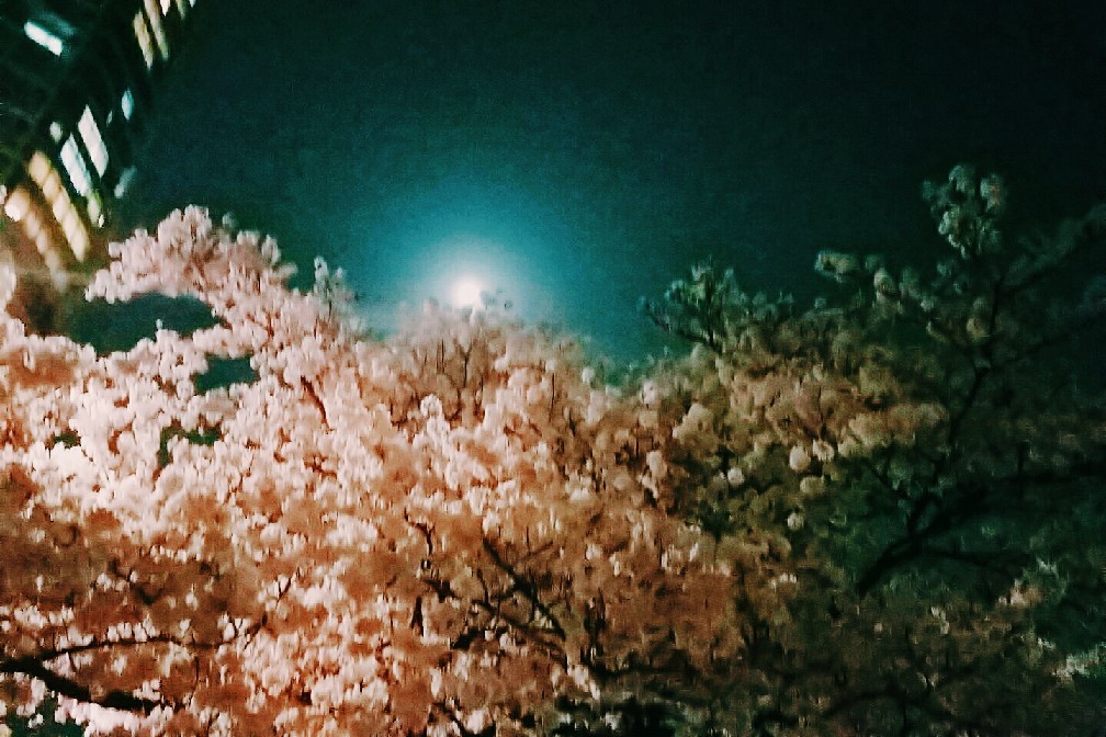 b0205159_11252779.jpg