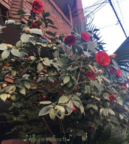 d0240961_18410979.jpeg