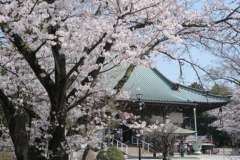 遊行寺（３月２８日）_c0057265_18102580.jpg