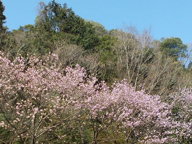 c0219866_18164633.jpg