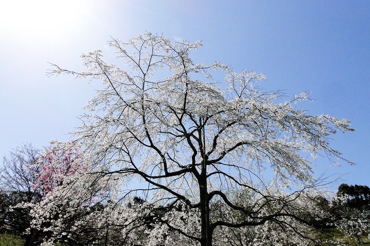 c0248473_19393627.jpg