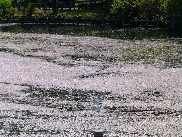 d0351575_14074106.jpg