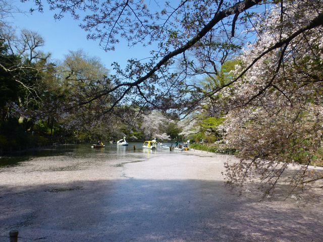 d0351575_14081729.jpg