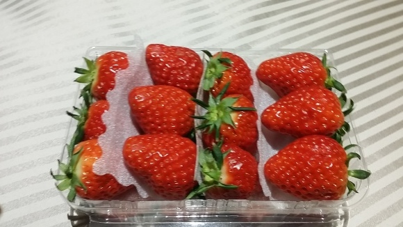 c0075177_23082863.jpg