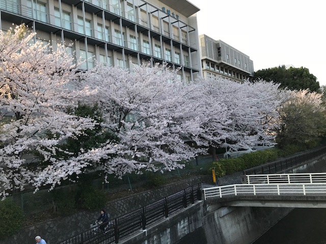 f0117977_16421122.jpg