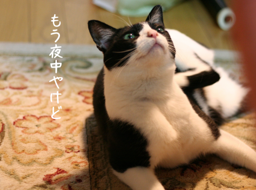 a0216583_22534357.png