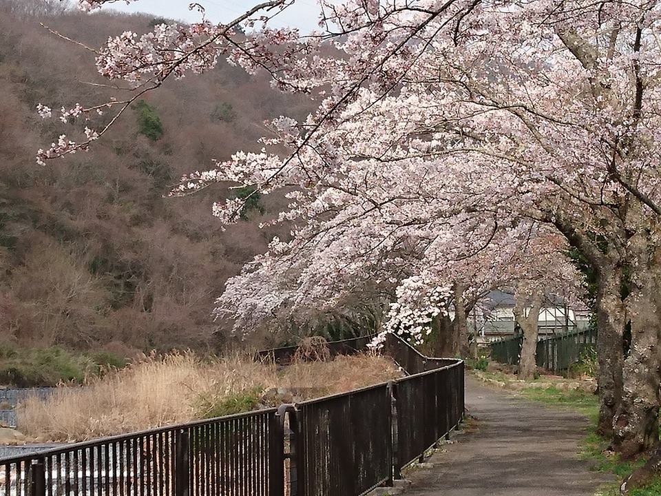 b0098584_19211387.jpeg