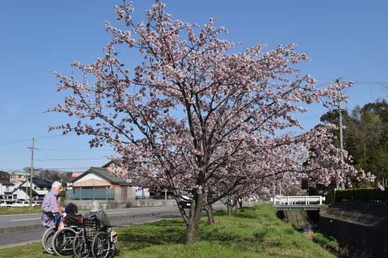 f0220087_00325098.jpg