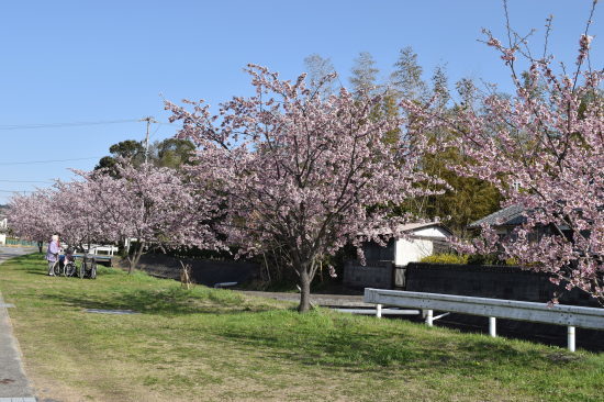 f0220087_00325702.jpg