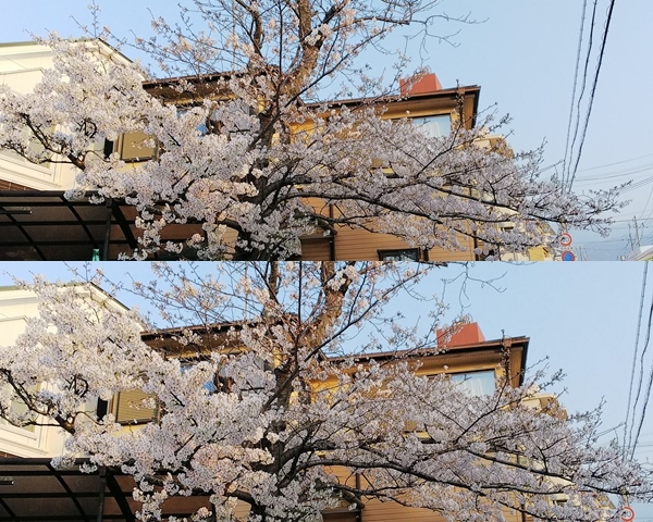 c0191390_14552061.jpg