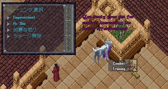 Ultimaonline Tamer S Endless Journey