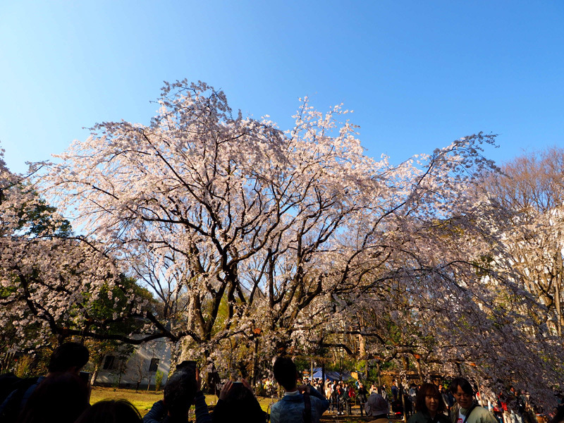 d0358793_00231787.jpg