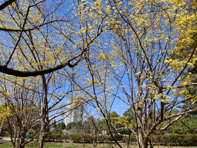 f0100593_19021965.jpg