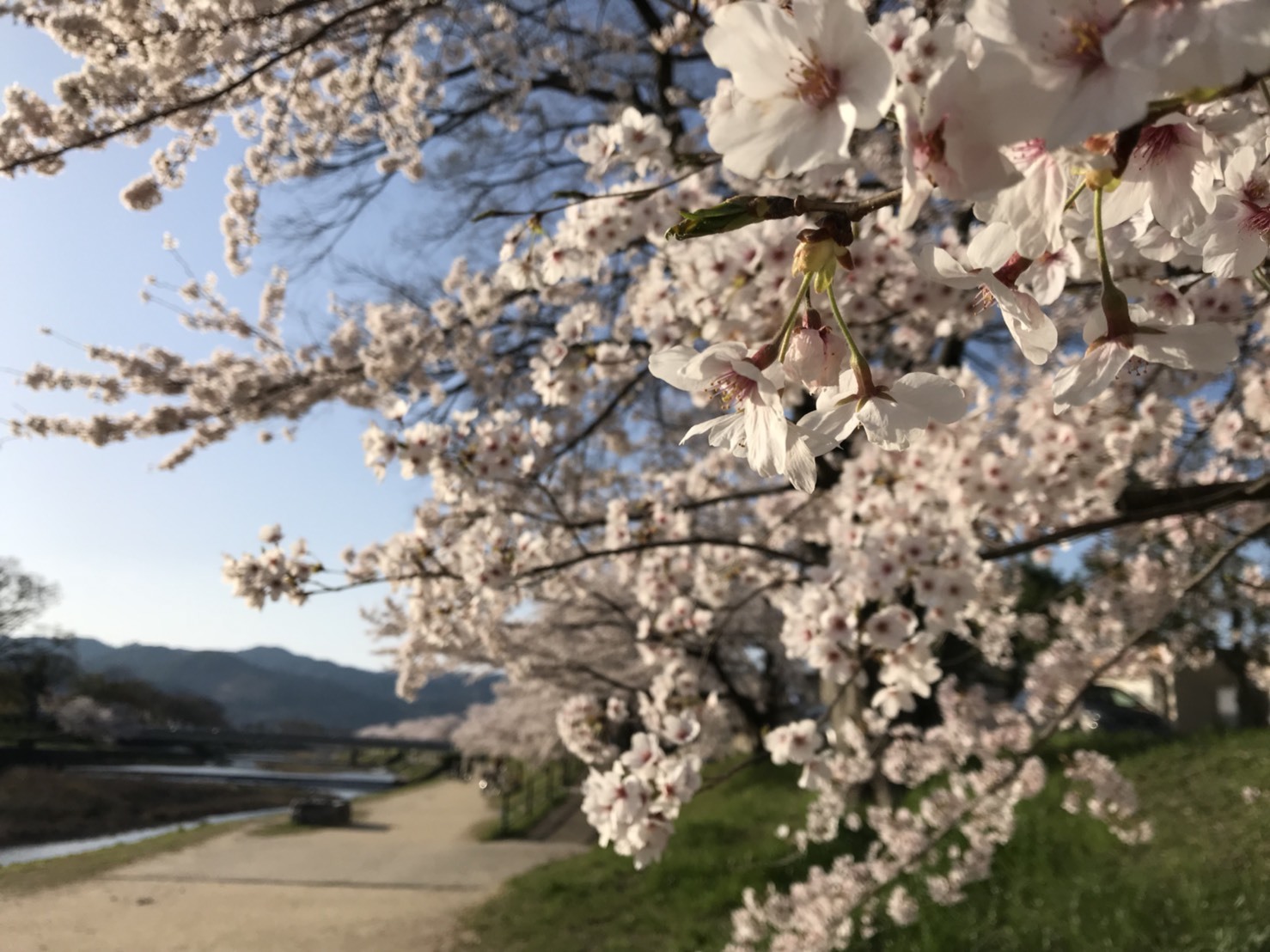 【〜4/10】alphabet journey 「旅の蚤の市」開催中です!_b0184796_19332979.jpg