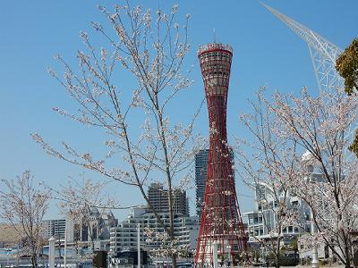 b0051598_22432299.jpg