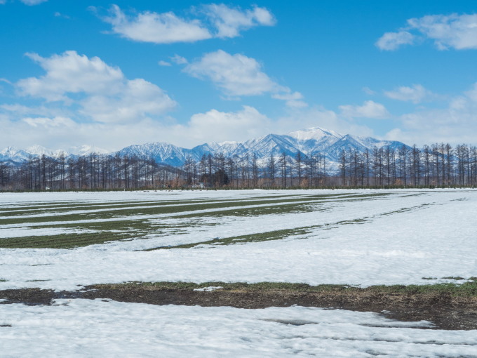 エゾリス君も感じる春の陽気・・みるみるうちに雪どけが進みます。_f0276498_21563441.jpg