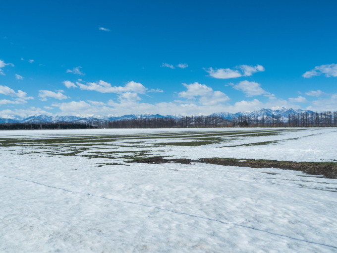 エゾリス君も感じる春の陽気・・みるみるうちに雪どけが進みます。_f0276498_21574133.jpg