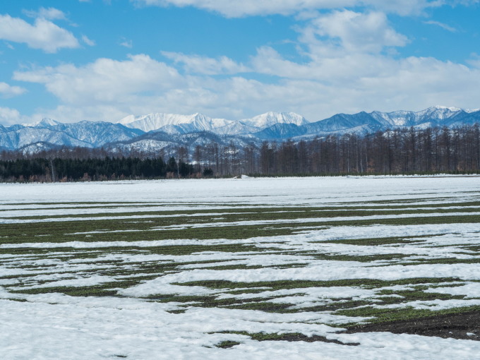 エゾリス君も感じる春の陽気・・みるみるうちに雪どけが進みます。_f0276498_21584686.jpg