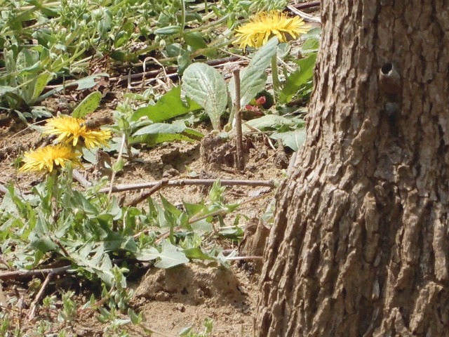 e0025300_2014154.jpg