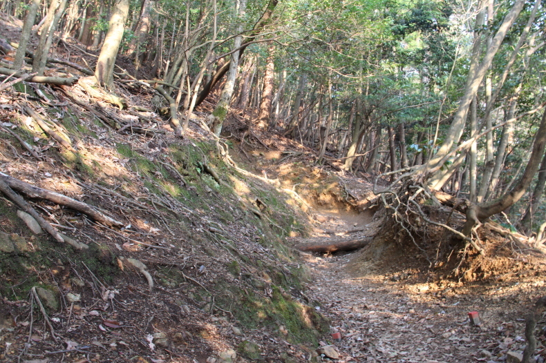 藤原岳(天狗岩) 2018/03/25_a0320601_11251224.jpg