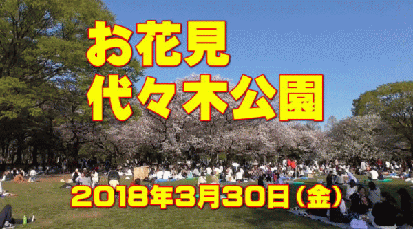 a0043204_704052.gif