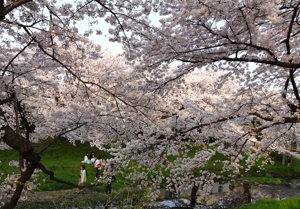 c0051105_00304818.jpg