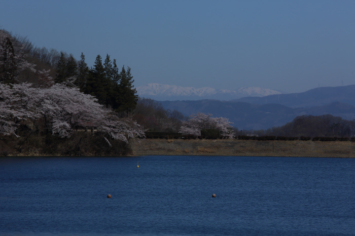 湖畔の朝　_a0357206_20001542.jpg