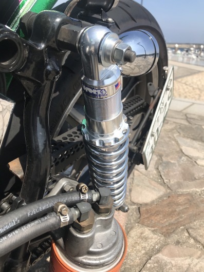 STINK BUG 2018。_d0149307_11361158.jpeg