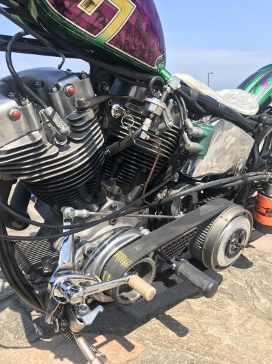 STINK BUG 2018。_d0149307_11433078.jpeg