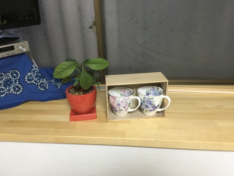 b0379709_18334472.jpeg