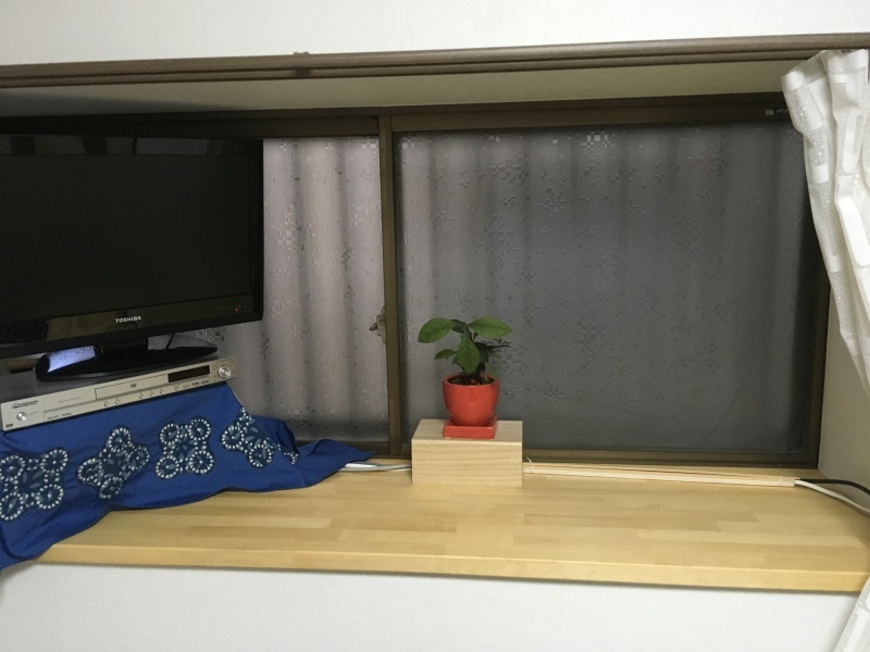 b0379709_18350298.jpeg