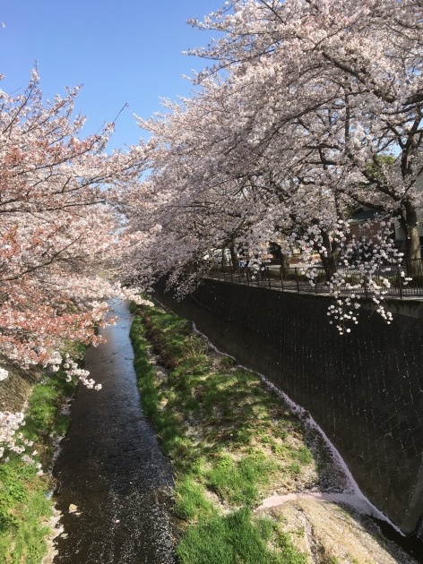 e0131910_22021253.jpg