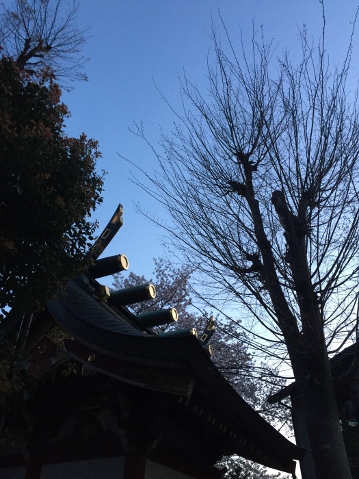 d0138811_23061881.jpeg