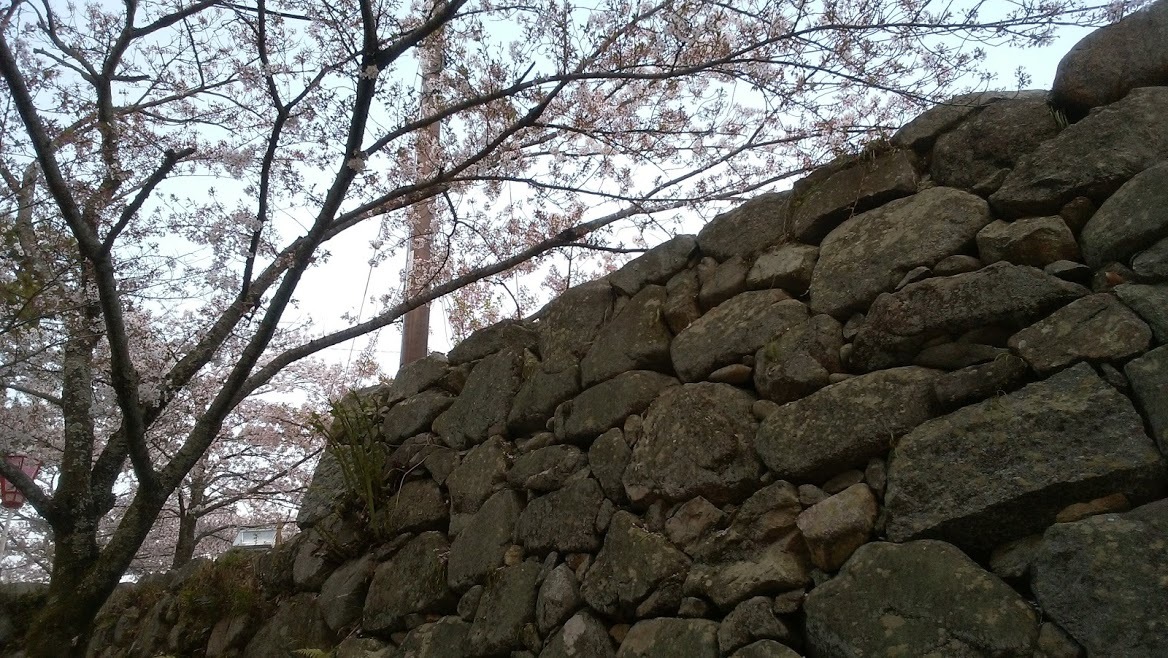 e0099212_21584927.jpg