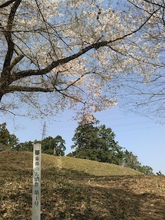 古墳に座って春を楽しむ…象鼻山_c0359615_17191719.jpg