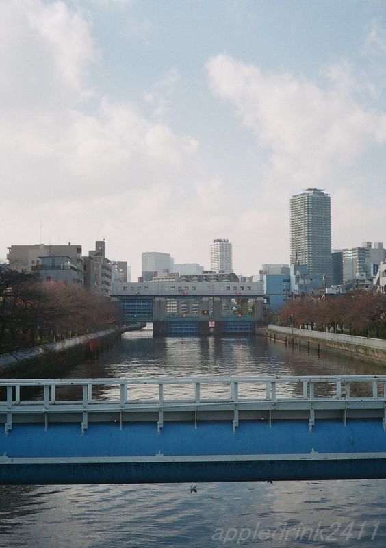 f0388515_09581645.jpg