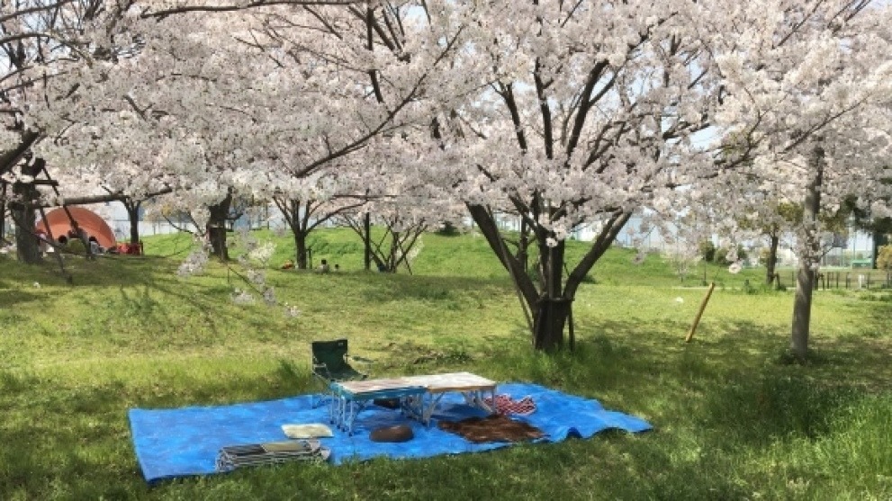 b0325317_13543865.jpeg