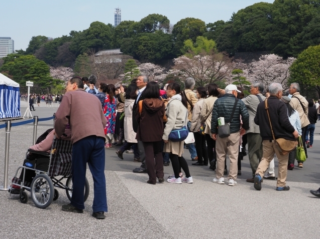 ＊ 皇居内の桜見物_b0204819_10163808.jpg