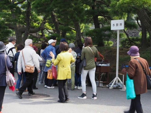 ＊ 皇居内の桜見物_b0204819_10284534.jpg