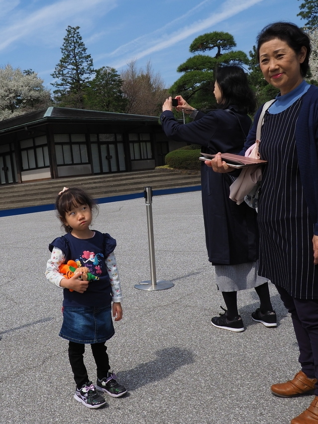 ＊ 皇居内の桜見物_b0204819_11122122.jpg