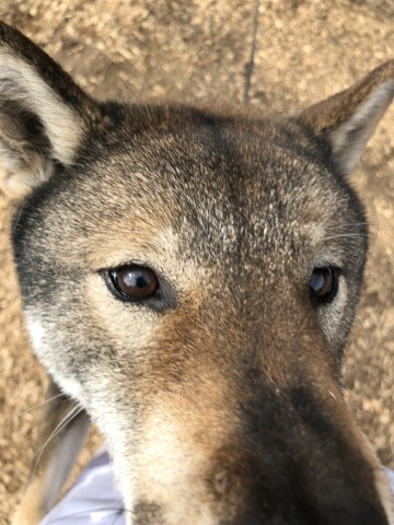 f0078320_01133209.jpeg