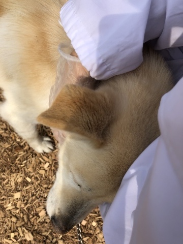 f0078320_02225716.jpeg