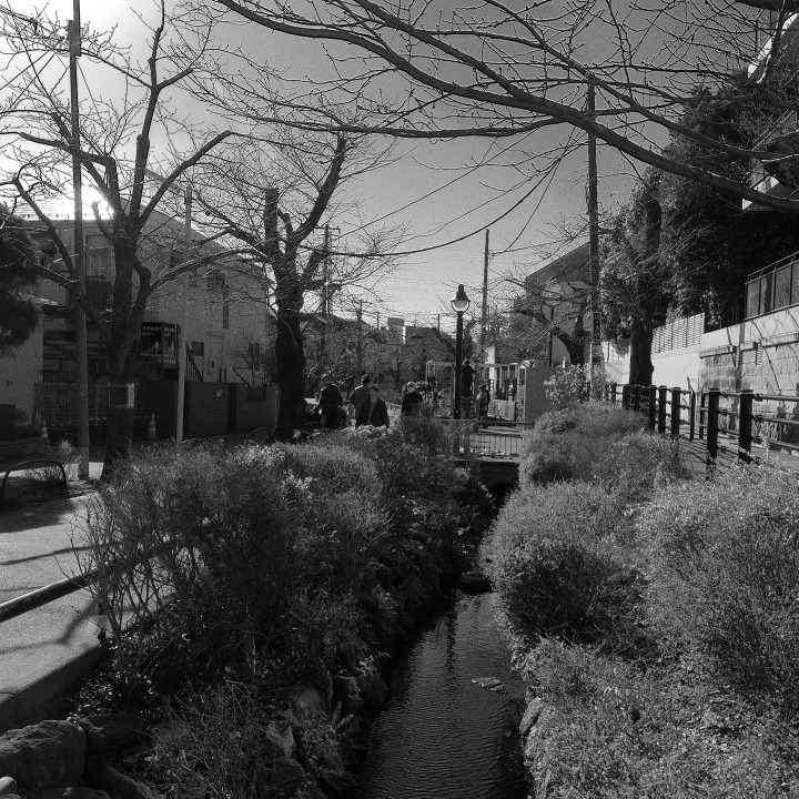 世田谷の古道?を歩く 鎌倉通りその6(北沢川から春の淡島)_b0058021_08230900.jpg