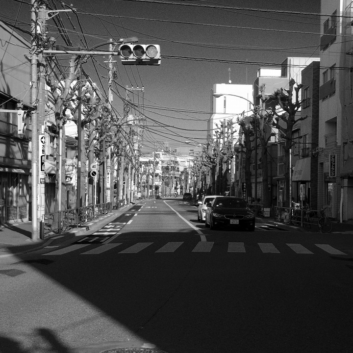 世田谷の古道?を歩く 鎌倉通りその6(北沢川から春の淡島)_b0058021_08390136.jpg