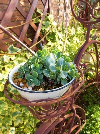c0204121_08565810.jpg