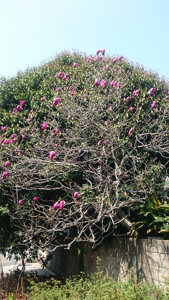 b0339522_21244564.jpg