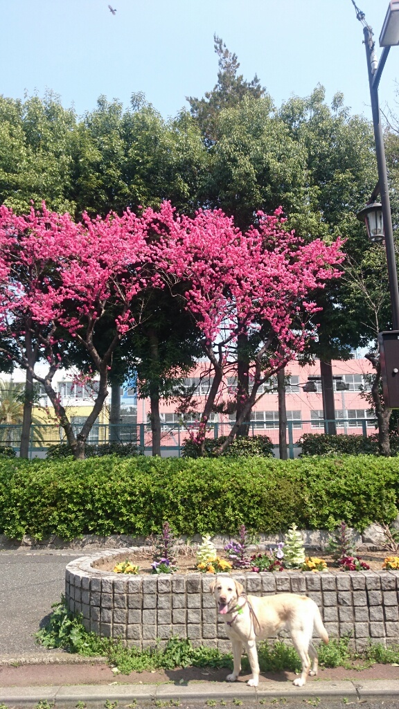 b0339522_21324786.jpg