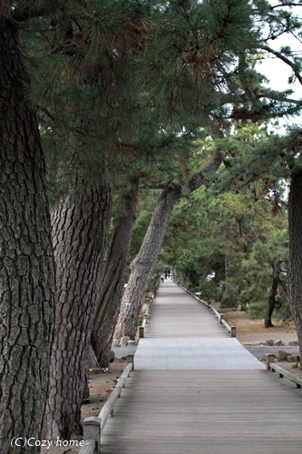 c0114924_20032417.jpg